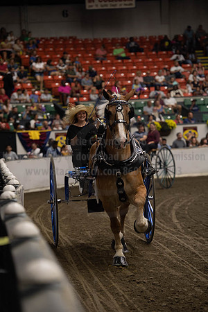 2019BigE_09282019_SCL_8858