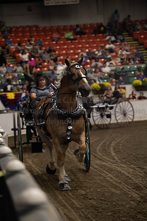 2019BigE_09282019_SCL_8861