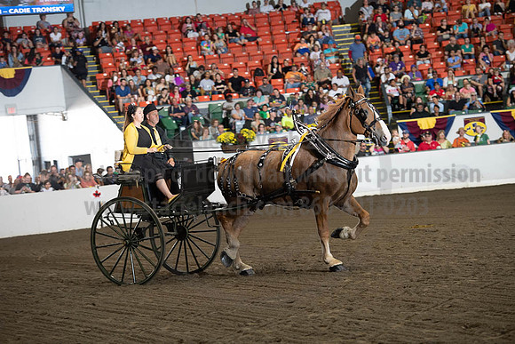 2019BigE_09282019_SCL_8865