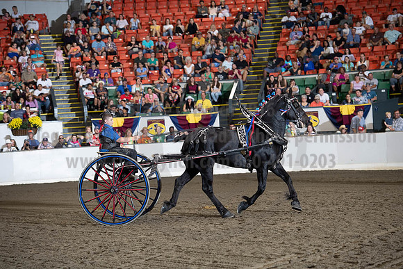 2019BigE_09282019_SCL_8869