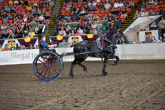 2019BigE_09282019_SCL_8870