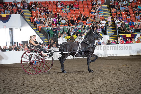 2019BigE_09282019_SCL_8871
