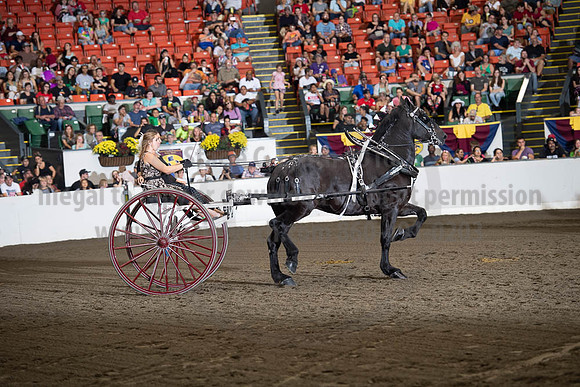 2019BigE_09282019_SCL_8872