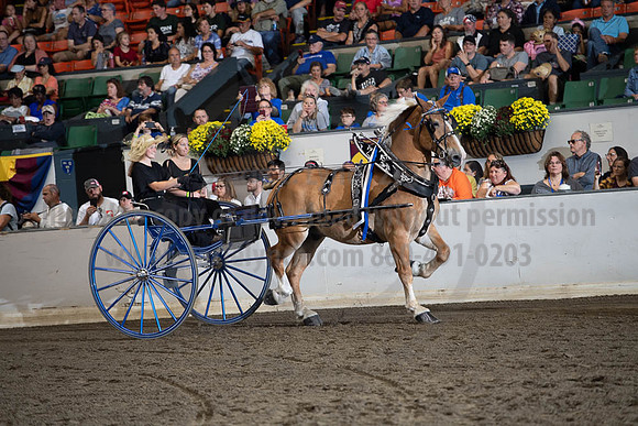 2019BigE_09282019_SCL_8873