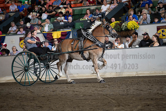 2019BigE_09282019_SCL_8874