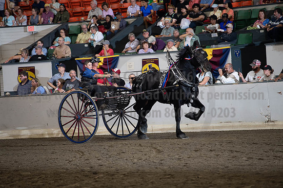 2019BigE_09282019_SCL_8875