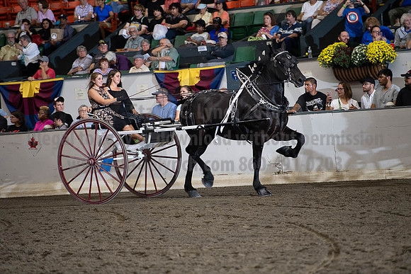 2019BigE_09282019_SCL_8877