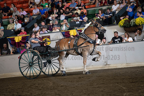 2019BigE_09282019_SCL_8880