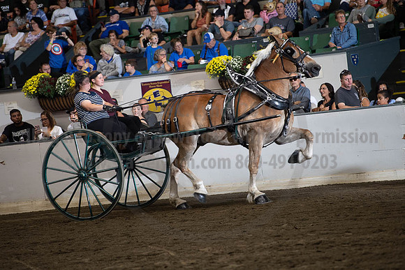 2019BigE_09282019_SCL_8881