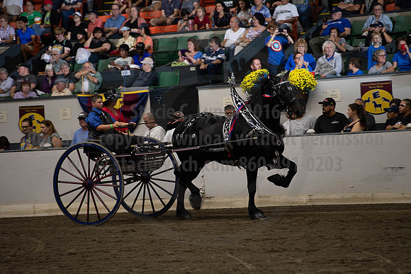 2019BigE_09282019_SCL_8882
