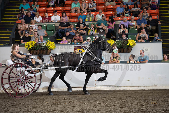2019BigE_09282019_SCL_8883
