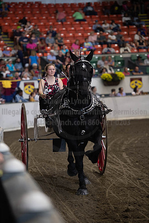 2019BigE_09282019_SCL_8889