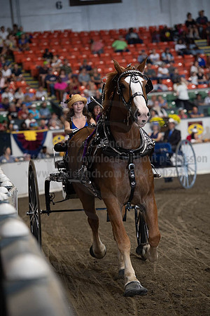 2019BigE_09282019_SCL_8892