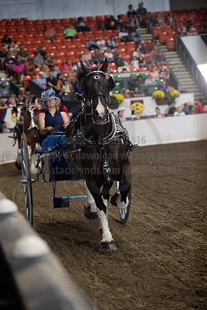 2019BigE_09282019_SCL_8895
