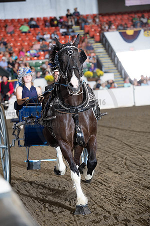 2019BigE_09282019_SCL_8896