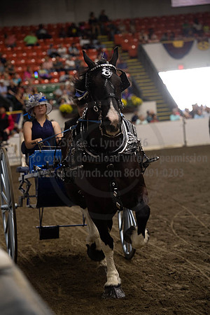 2019BigE_09282019_SCL_8897