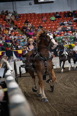 2019BigE_09282019_SCL_8891