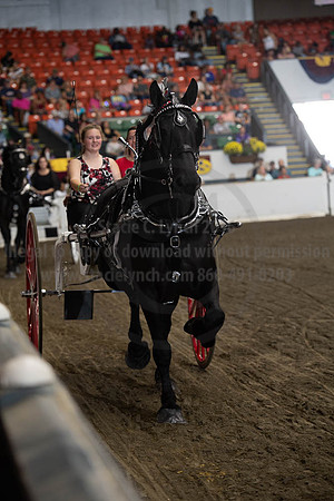 2019BigE_09282019_SCL_8902