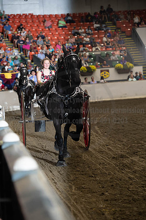 2019BigE_09282019_SCL_8901
