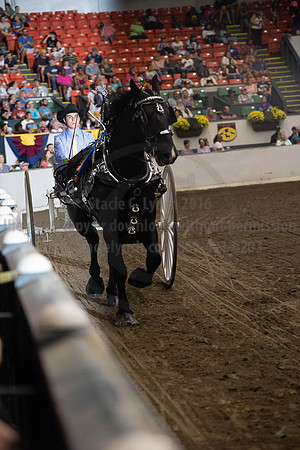 2019BigE_09282019_SCL_8904