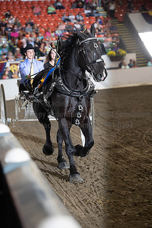 2019BigE_09282019_SCL_8905