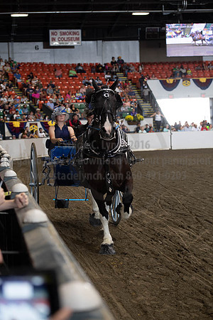 2019BigE_09282019_SCL_8908