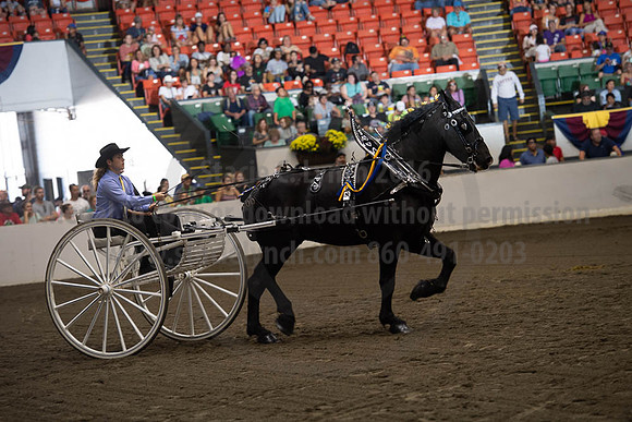 2019BigE_09282019_SCL_8912