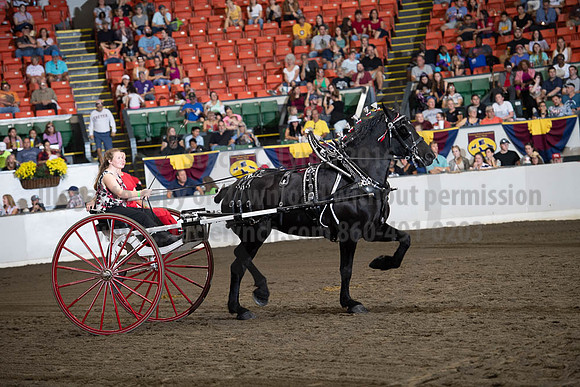 2019BigE_09282019_SCL_8911