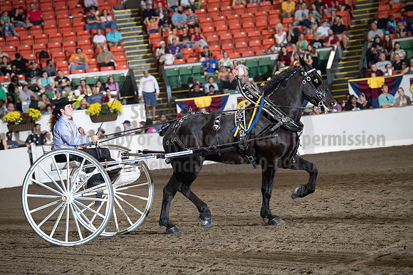 2019BigE_09282019_SCL_8913