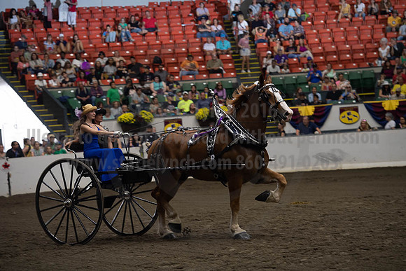 2019BigE_09282019_SCL_8914