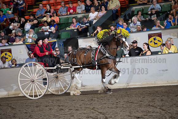 2019BigE_09282019_SCL_8920