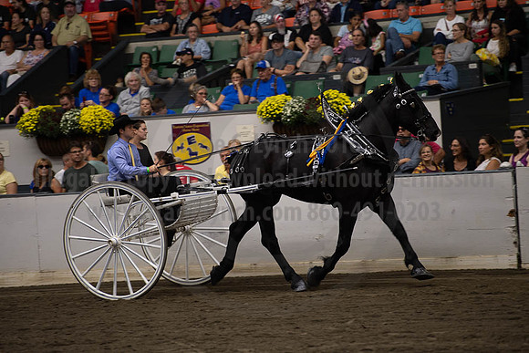 2019BigE_09282019_SCL_8922