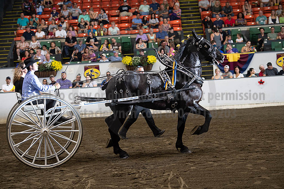 2019BigE_09282019_SCL_8926
