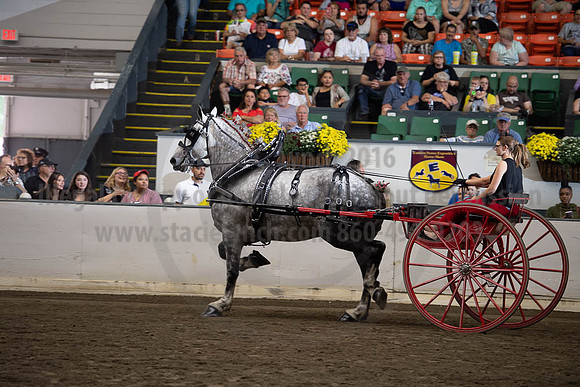 2019BigE_09282019_SCL_8928