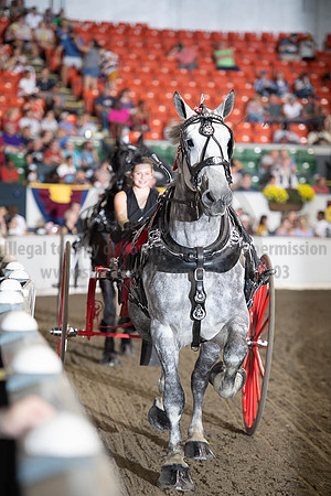 2019BigE_09282019_SCL_8930