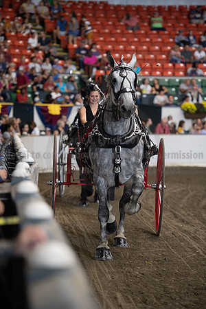 2019BigE_09282019_SCL_8929