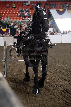 2019BigE_09282019_SCL_8933