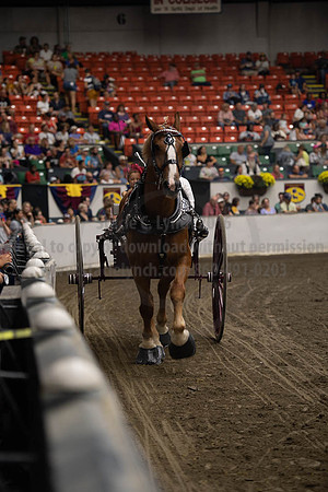 2019BigE_09282019_SCL_8936