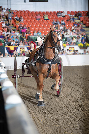 2019BigE_09282019_SCL_8937