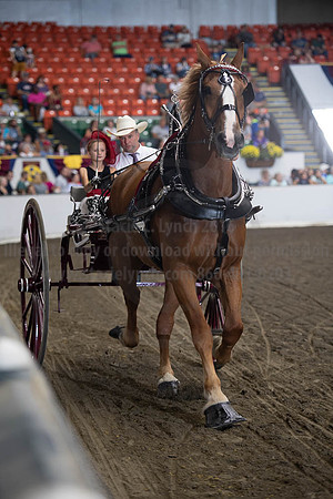 2019BigE_09282019_SCL_8938