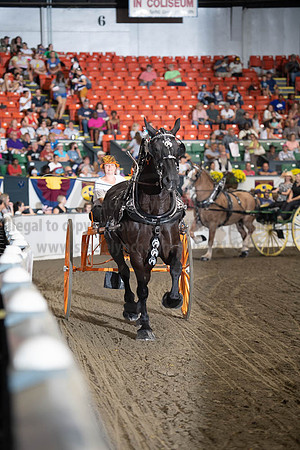 2019BigE_09282019_SCL_8941