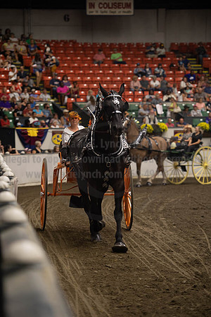 2019BigE_09282019_SCL_8942