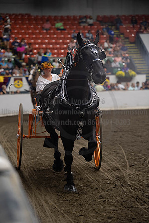 2019BigE_09282019_SCL_8943