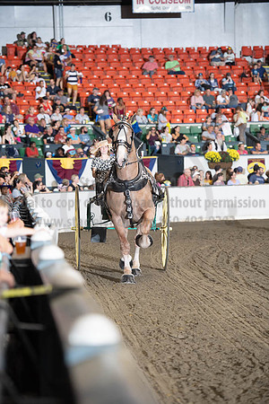 2019BigE_09282019_SCL_8945
