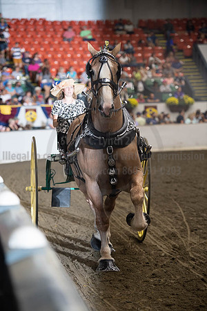 2019BigE_09282019_SCL_8947