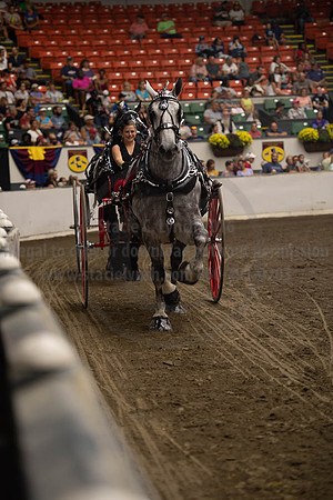 2019BigE_09282019_SCL_8950