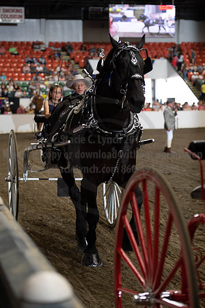 2019BigE_09282019_SCL_8954