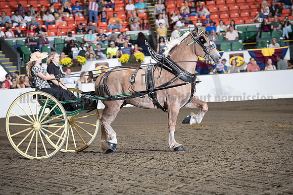 2019BigE_09282019_SCL_8960