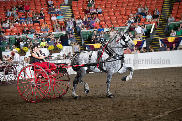2019BigE_09282019_SCL_8961