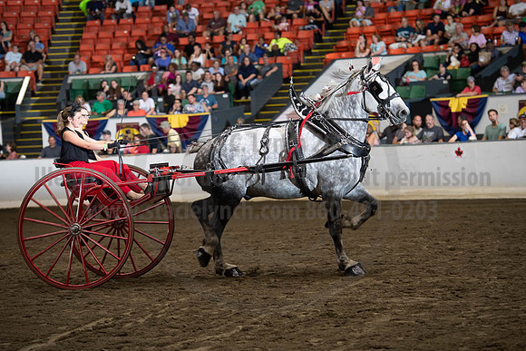 2019BigE_09282019_SCL_8962